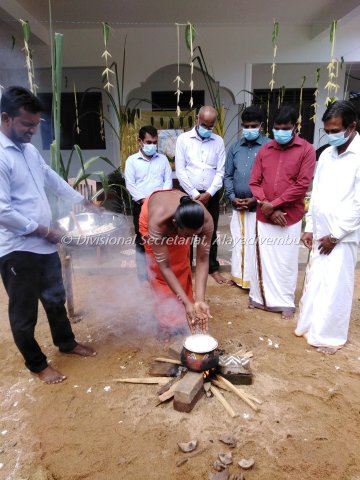 Pongal festival of Alayadivembu Divisional Secretariat-2021